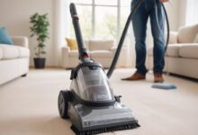 Быстрая чистка ковров: сроки выполнения и ориентировочные расценки